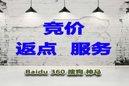 SEM运营推广助力行业领导地位
